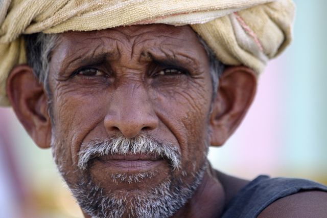 Hindistan Çiftçi Protestosu